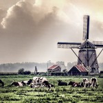 wspomnienia z Holandii